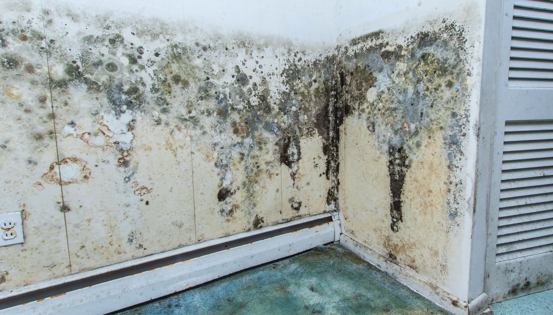 Professional mold removal, odor control, and water damage restoration service in Pensacola, Florida.