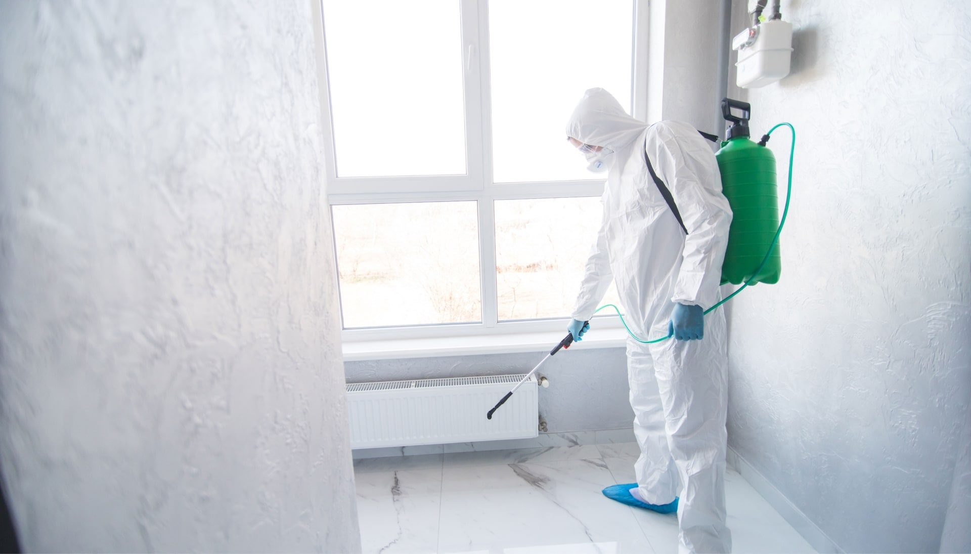 We provide the highest-quality mold inspection, testing, and removal services in the Pensacola, Florida area.
